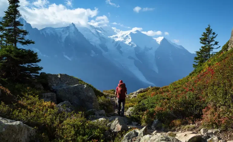 Beautiful Summer Hikes for All Skill Levels