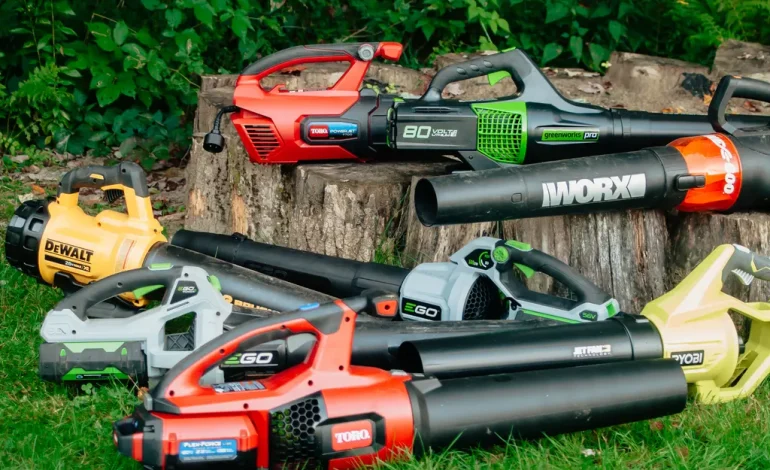 What Is The Best Leaf Blower For Home Use